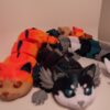 Group of colorful cat-like figures, with orange and black-and-white figures in front and segmented bodies behind.